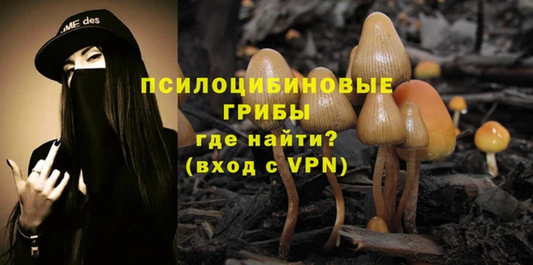 а пвп мука Верхний Тагил