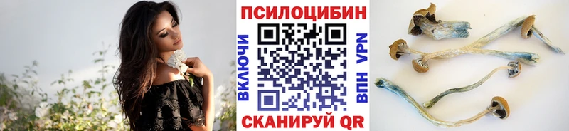 OMG рабочий сайт  Пушкино  Псилоцибиновые грибы Cubensis 